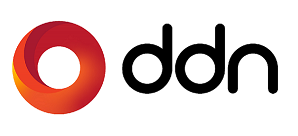 ddn-logo.png